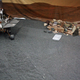 Illustration for article titled See Inside NASAs Jet Propulsion Lab, Home to the Mars Rover Curiosity Mission